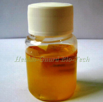 牛蒡子油.jpg